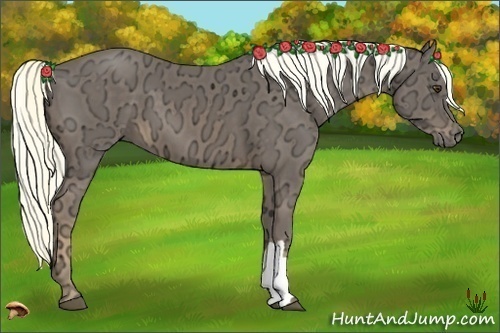 Horse Color:Liver Chestnut Ice 