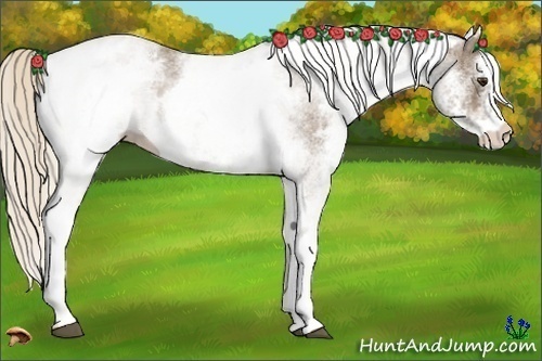 Horse Color:White Spotted Chocolate Palomino Varnish