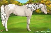 Horse Color:Liver Chestnut Pearl Mushroom Blanket