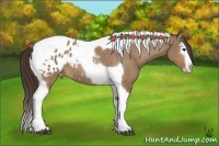 Horse Color:Bay Dun Splash Tobiano Varnish Rabicano 