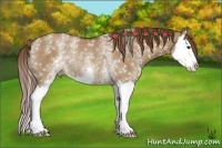 Horse Color:White Spotted Red Dun Sabino Splash Rabicano