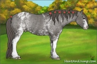 Horse Color:White Spotted Grullo Varnish Rabicano