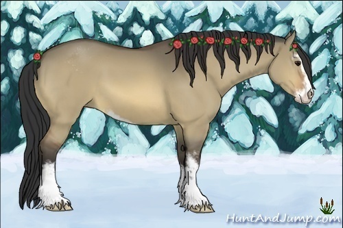 Horse Color:Bay Dun Sabino