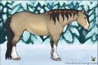 Horse Color:Bay Dun Sabino 