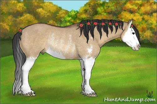 Horse Color:Bay Dun Sabino Splash Rabicano 