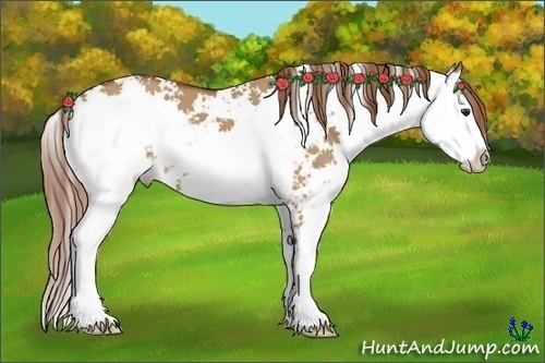 Horse Color:Red Dun Sabino 
