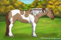 Horse Color:Red Dun Tobiano