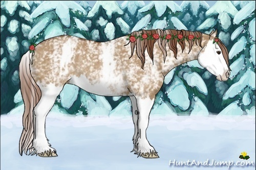 Horse Color:White Spotted Red Dun Splash Rabicano 