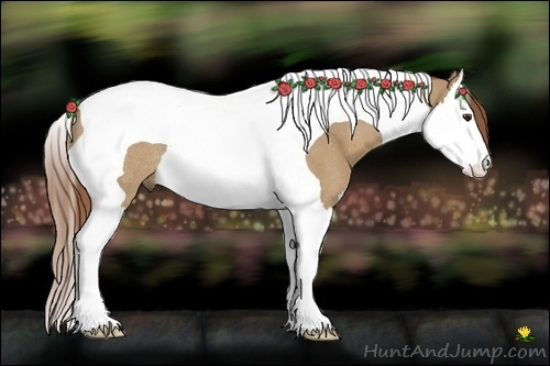 Horse Color:Red Dun Splash Tobiano Rabicano 