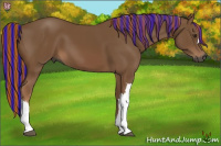 Horse Color:Gray Painted Chestnut 