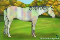 Horse Color:Nacre Watercolor Gold Champagne