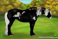 Horse Color:Watercolor White Spotted Silver Brown Splash Tobiano