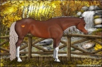 Horse Color:Chocolate Silver Bay