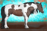 Horse Color:Bay Ice Tobiano