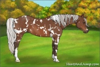Horse Color:White Spotted Silver Brown