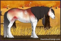 Horse Color:White Spotted Bay Onyx