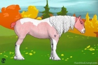 Horse Color:Liver Red Chinchilla Roan Splash Tobiano