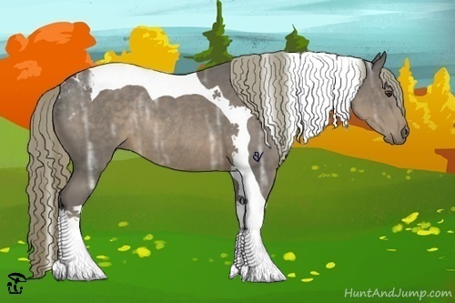 Horse Color:Liver Chestnut Ice Tobiano Rabicano