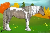 Horse Color:Liver Chestnut Ice Tobiano Rabicano