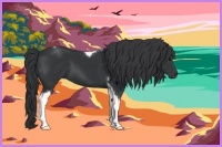 Horse Color:Black Tobiano 