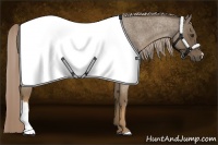 Horse Color:Chocolate Palomino Roan