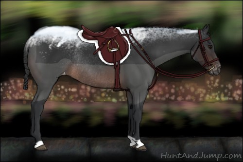 Horse Color:Brown Appaloosa Rabicano 