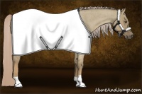 Horse Color:Chocolate Palomino Roan Dun 