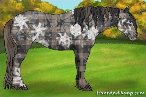 Horse Color:Plaid Smoky Black Ice