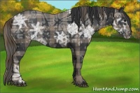 Horse Color:Plaid  Smoky Black Ice 