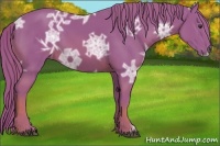 Horse Color:Watercolor Chestnut Ice 