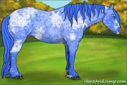 Horse Color:Watercolor Blue Ice Roan 