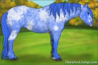 Horse Color:Watercolor Blue Ice Roan