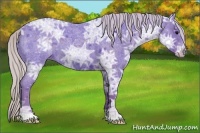 Horse Color:Watercolor Silver Blue Ice Roan 