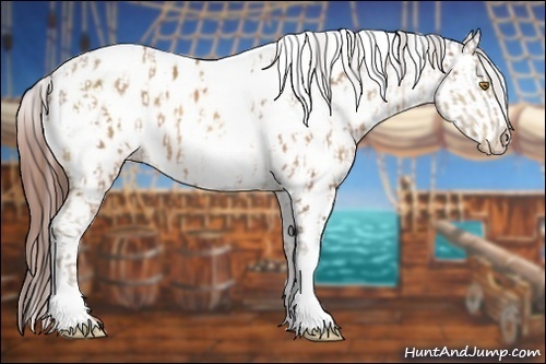 Horse Color:Sable Champagne Tobiano Appaloosa  and White Spotted Sable Champagne Appaloosa 