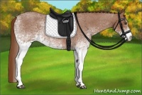 Horse Color:White Spotted Red Roan 