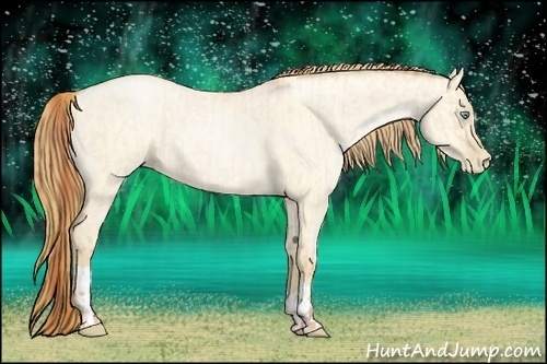 Horse Color:Buckskin Roan Pearl Dun  and Buckskin Roan Pearl Dun 