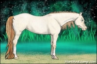 Horse Color:Buckskin Roan Pearl Dun  and Buckskin Roan Pearl Dun 