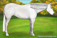 Horse Color:Gray Chestnut 