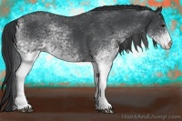 Horse Color:White Spotted Blue Roan 