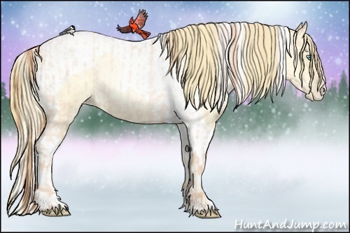 Horse Color:Buckskin Roan Pearl and Buckskin Roan Pearl Tobiano