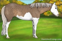 Horse Color:Silver Smoky Black Splash 
