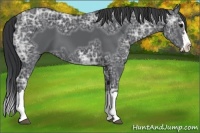 Horse Color:Black Ice Splash Frame