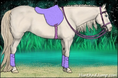 Horse Color:Perlino 