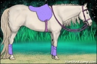 Horse Color:Perlino 