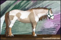 Horse Color:Liver Chestnut Pearl  and White Spotted Bay Pearl 