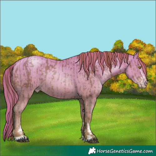 Horse Color:Brown Pearl and Sable Champagne Pearl