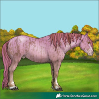 Horse Color:Brown Pearl and Sable Champagne Pearl