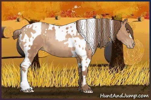 Horse Color:Brown Pearl and Brown Pearl Tobiano