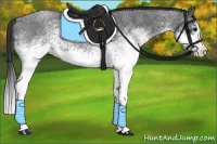 Horse Color:White Spotted Smoky Blue Roan Splash 