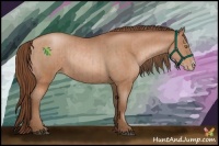 Horse Color:Bay Pearl Frame  and Bay Pearl Frame 